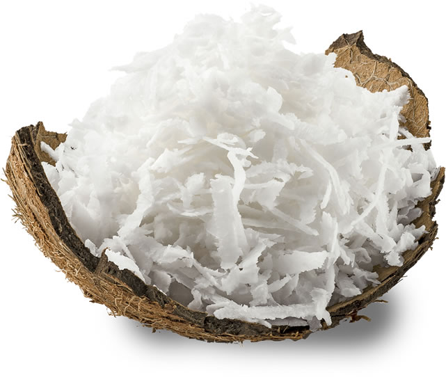 Desiccated Coconut